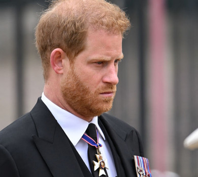 Не дали навіть переночувати: принц Гаррі тепер мусить попереджати палац про візити — ЗМІ