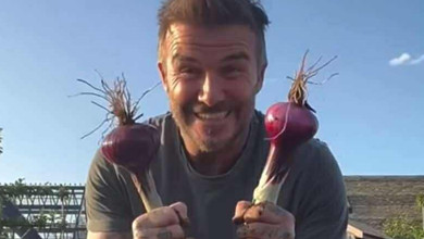 Вражаюче: Бекхем похизувався перед дружиною власноруч вирощеною цибулею. Відео