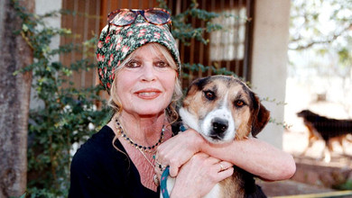 Удівець Бріжит Бардо повідомив причину смерті та останні слова 91-річної кінодіви