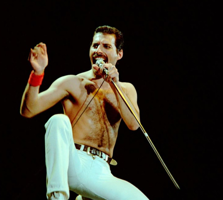 Плекав мене, як найцінніше надбання: у новій біографії Мерк'юрі з'явилася його ймовірна таємна дитина