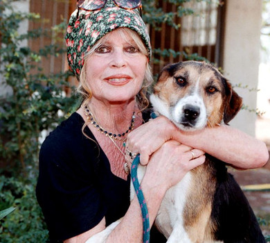 Удівець Бріжит Бардо повідомив причину смерті та останні слова 91-річної кінодіви