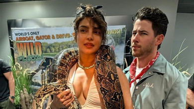 Жива прикраса Bulgari: Чопра у декольтованому топі попозувала з чималим пітоном на шиї. Фото