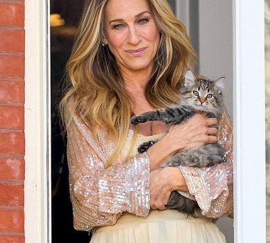 І просто так...: Сара Джессіка Паркер усиновила кошеня Керрі Бредшоу із серіалу. Мімімі-ФОТО 