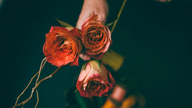 Флористичні тренди цієї осені: від природної простоти до розкішних міксів