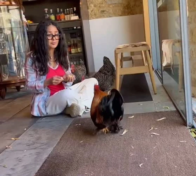 Ці дівчата мене булять: як Сальма Хаєк курей годувала. Відео