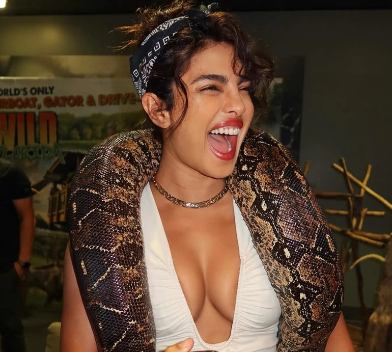 Жива прикраса Bulgari: Чопра у декольтованому топі попозувала з чималим пітоном на шиї. Фото