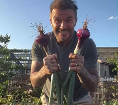 Вражаюче: Бекхем похизувався перед дружиною власноруч вирощеною цибулею. Відео