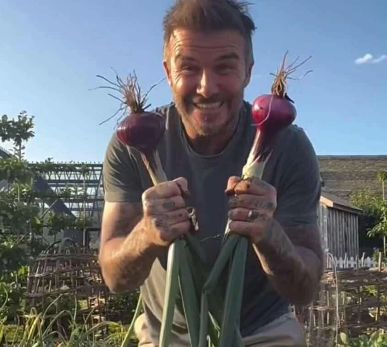 Вражаюче: Бекхем похизувався перед дружиною власноруч вирощеною цибулею. Відео