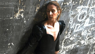 Селін Діон у скінні та декольтованому топі попозувала на даху паризької будівлі. Фото