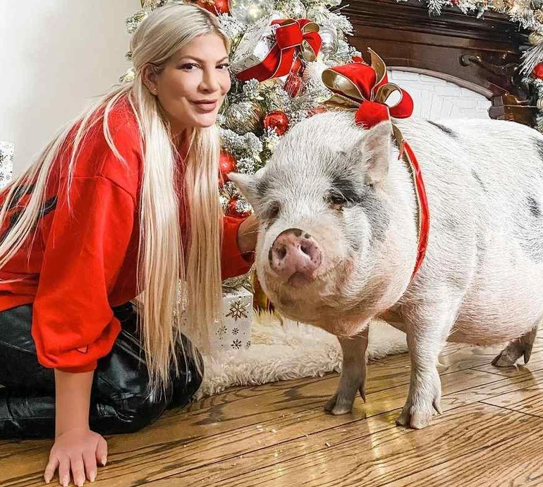 Пиятика та свиня в подружньому ліжку: ексчоловік Торі Спеллінг у відвертому інтерв'ю зізнався, що зруйнувало їхній шлюб