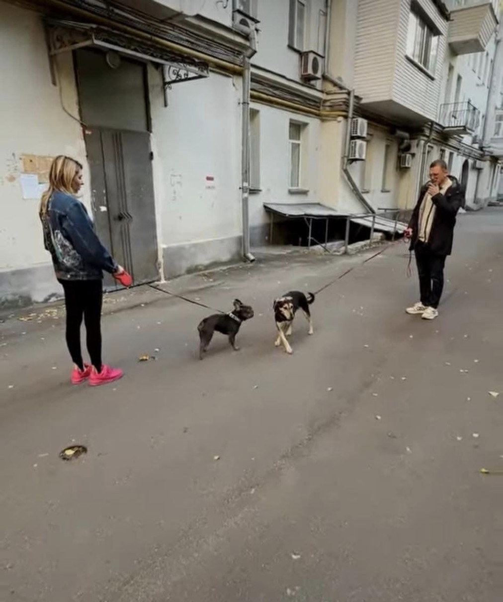 Дмитро Кулеба та Світлана Павелецька
