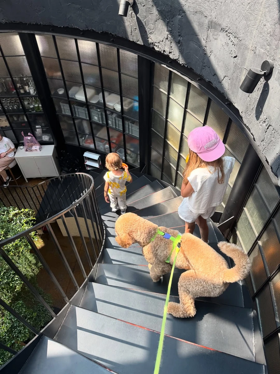 Даша Кацуріна показала, як поєднує материнство і роботу після чуток про розрив із Дантесом