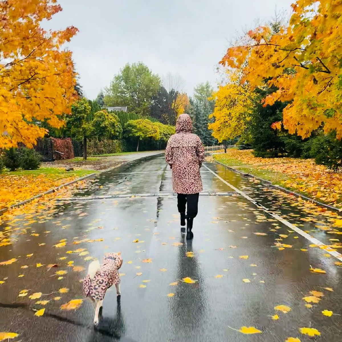 Астаф'єва отримала купу турботи і підтримки в коментарях