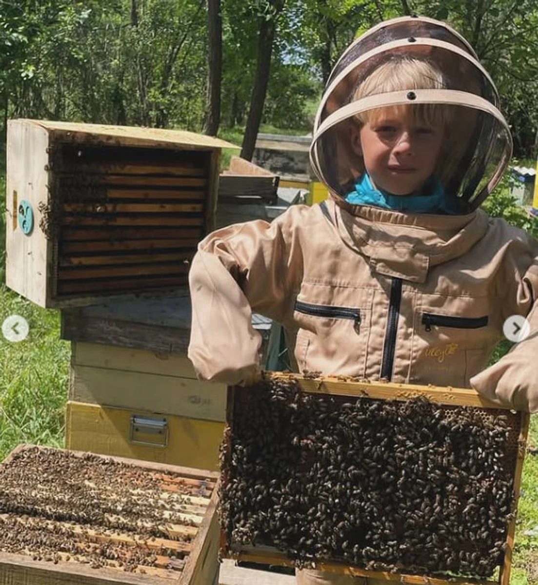 Син Олени Кравець добуває мед з вулика