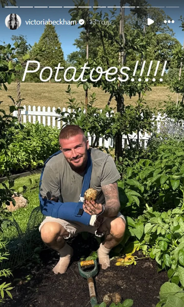 Девід Бекхем у своєму городі