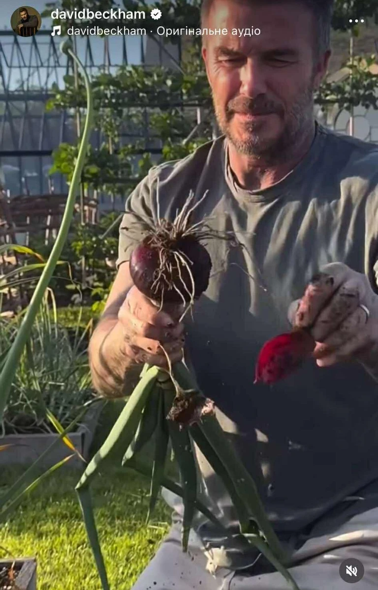 Девід Бекхем похвалився врожаєм
