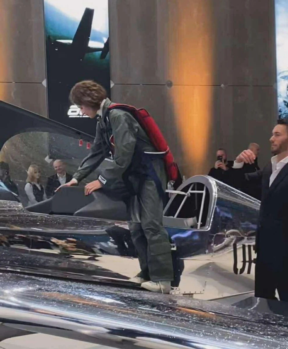 Гузема в літаку