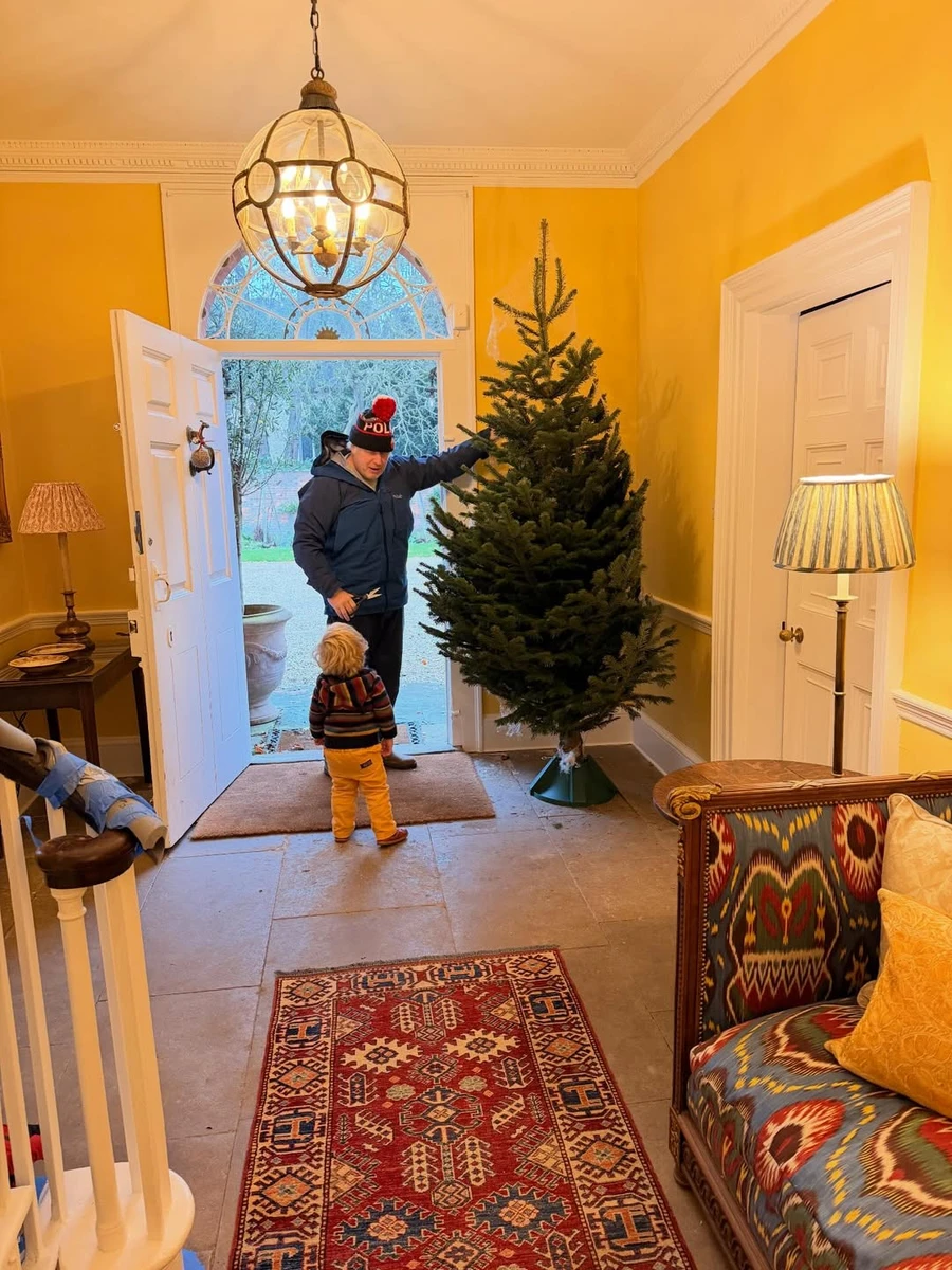 Борис Джонсон показав новорічну ялинку