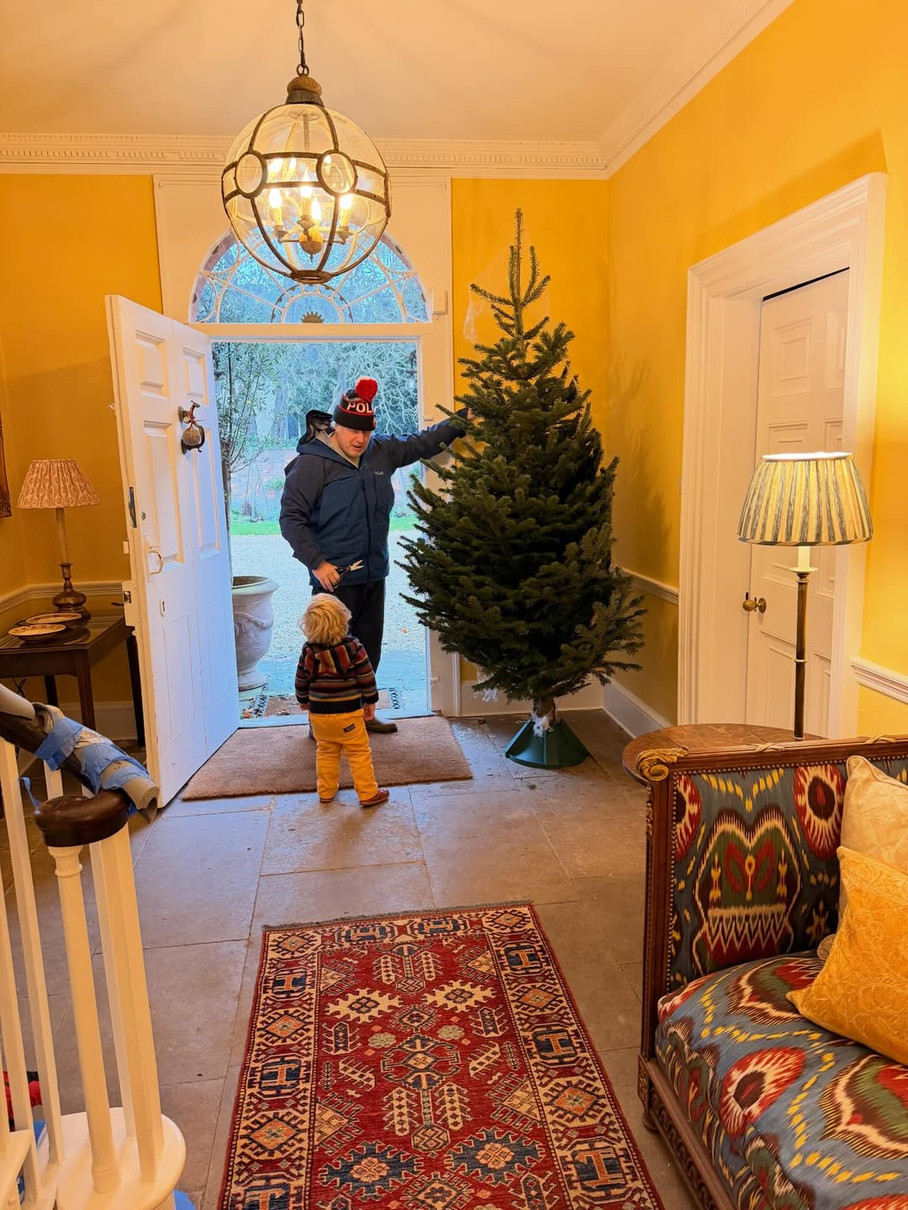 Борис Джонсон показав новорічну ялинку