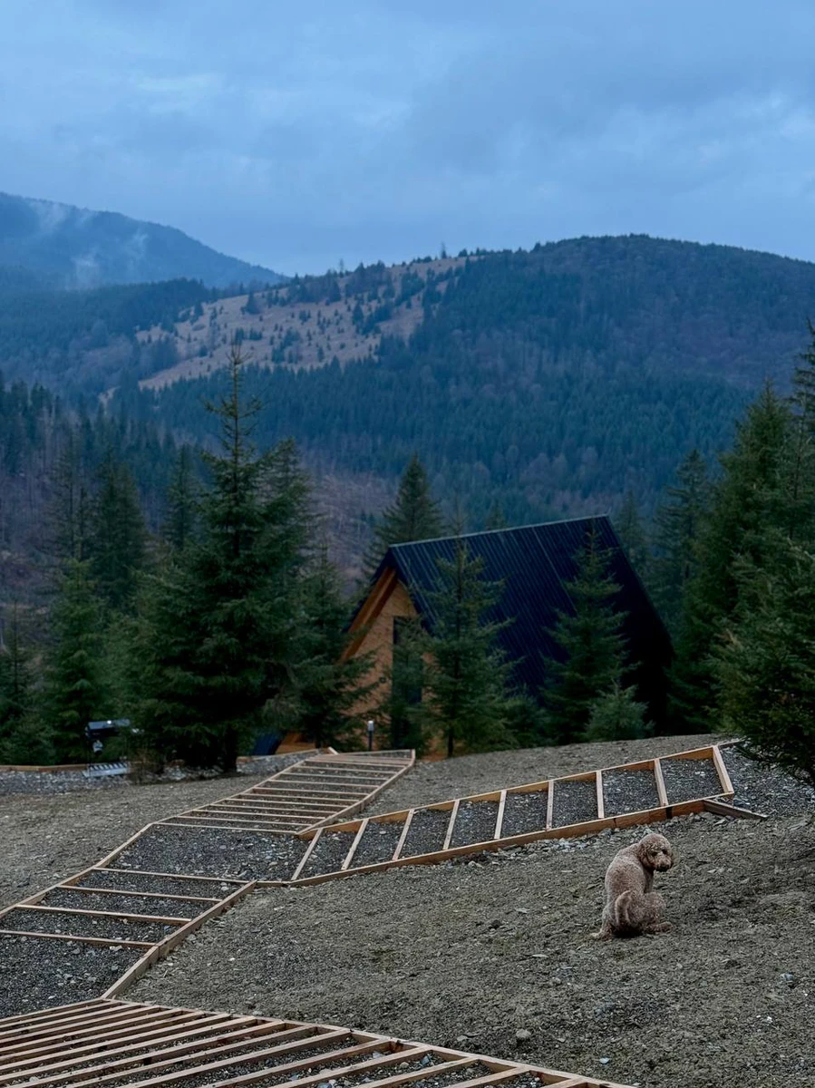 Фото собаки Дантеса