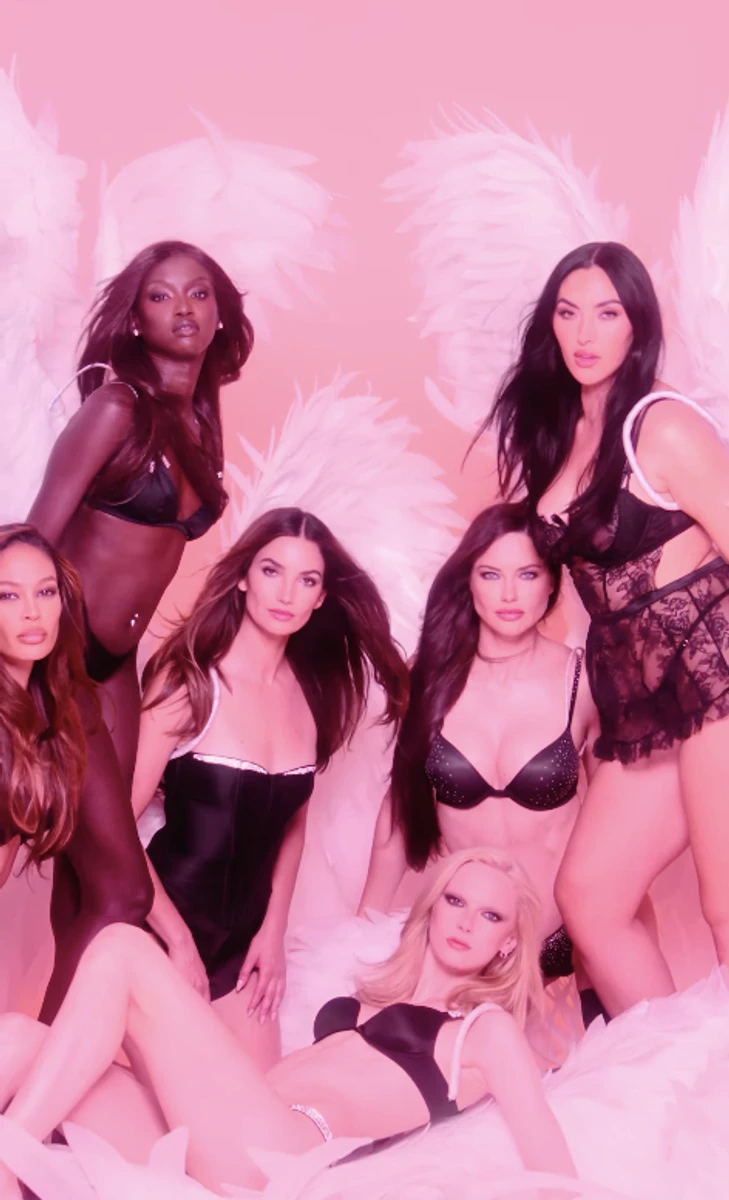 Адріана Ліма та інші моделі Victoria's Secret в білизні ефектно попозували для фото