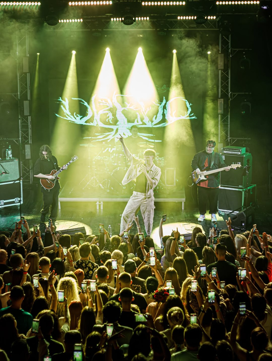 Drevo на концерті