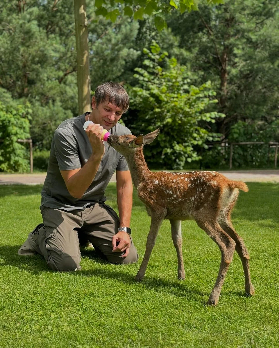 Олександр Шовковський з оленям