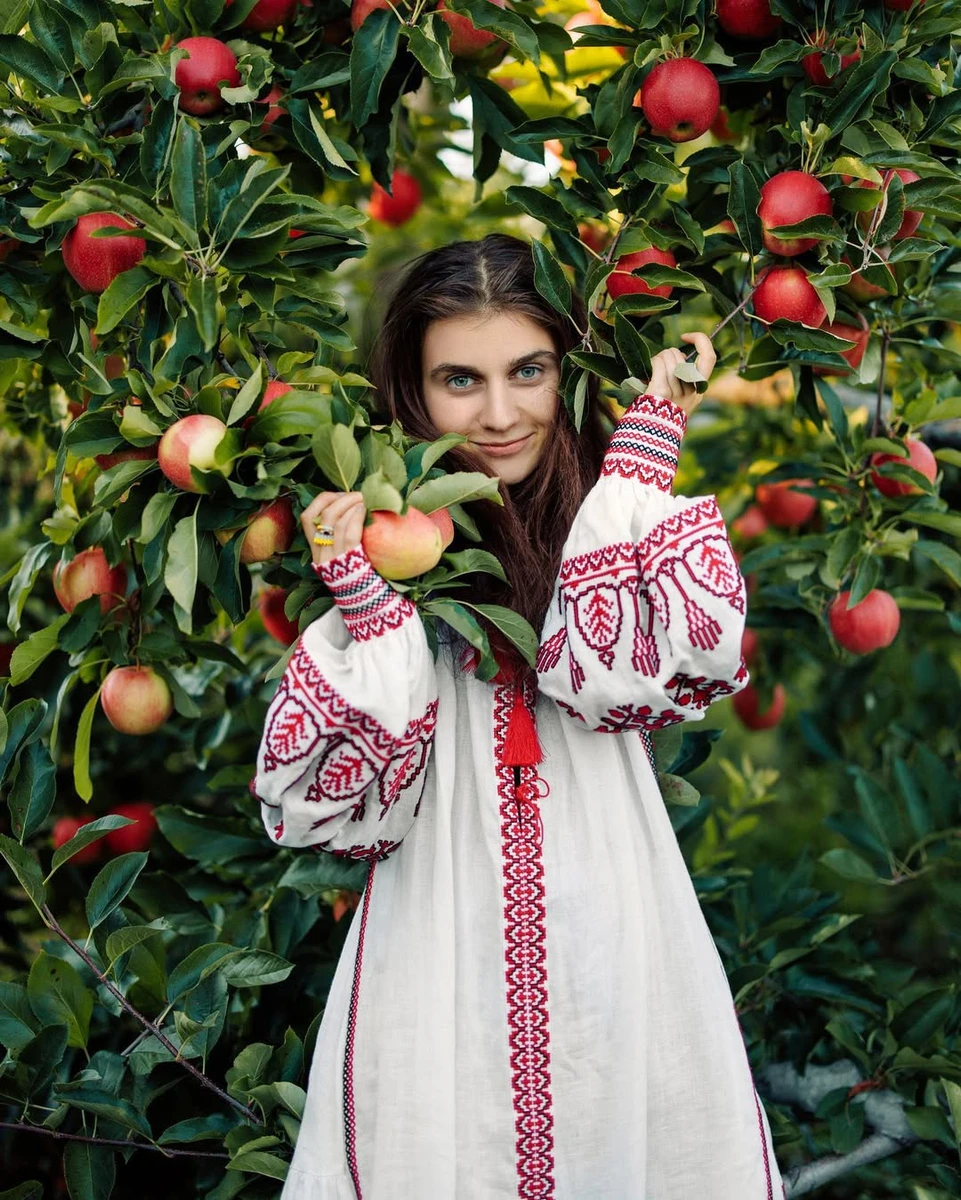 Jerry Heil харчування