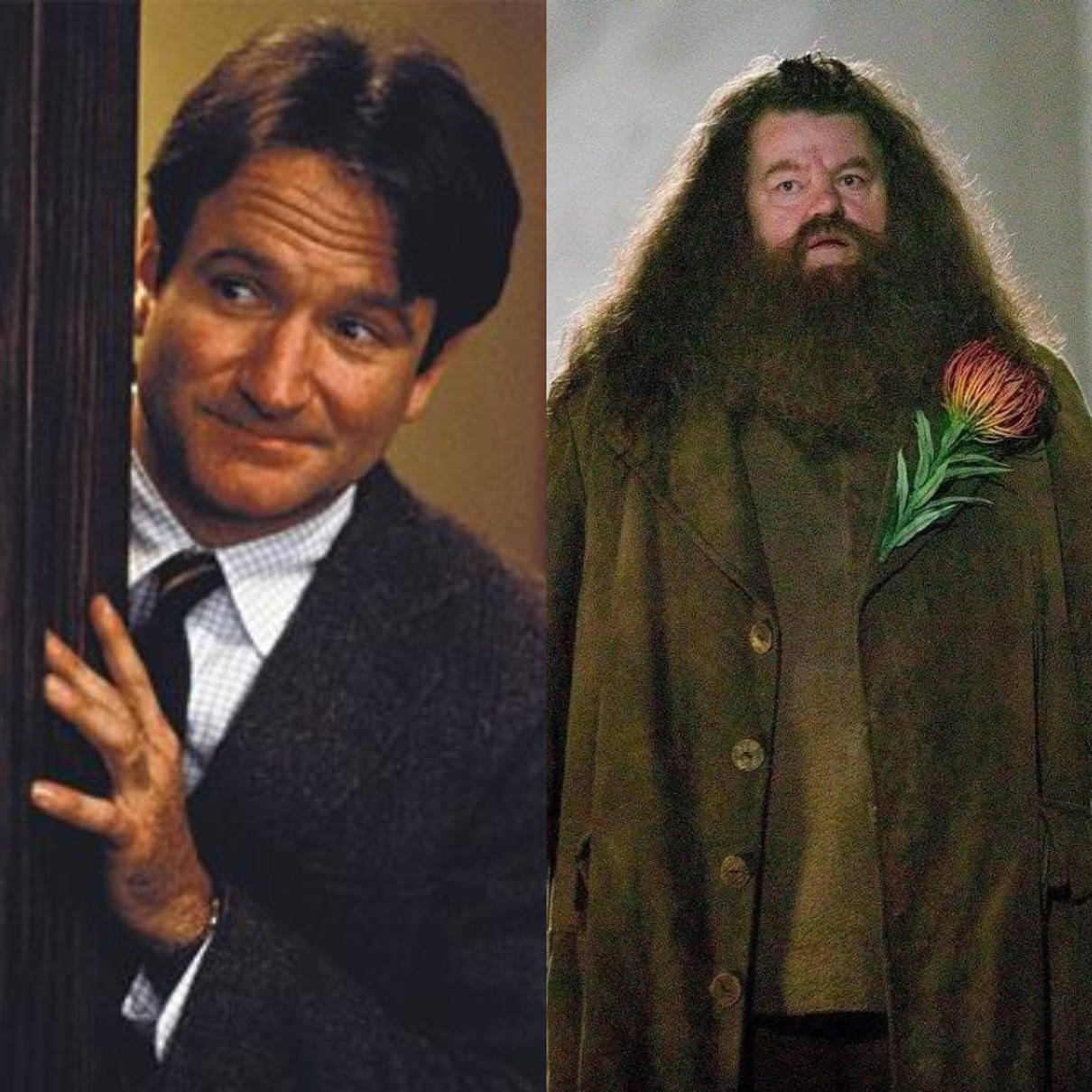 Робін Вільямс у Спілка мертвих поетів