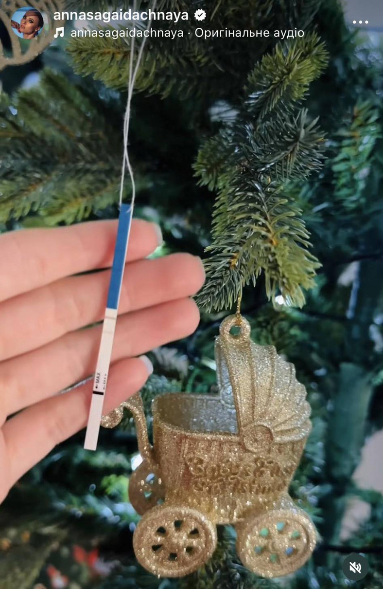 Анна Сагайдачна вагітна