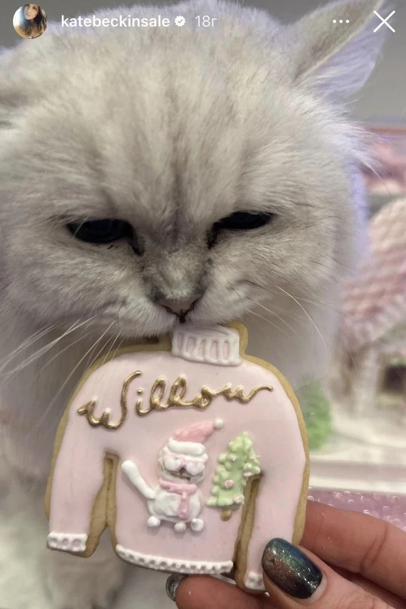 Але смаколик завжди виправляє ситуацію