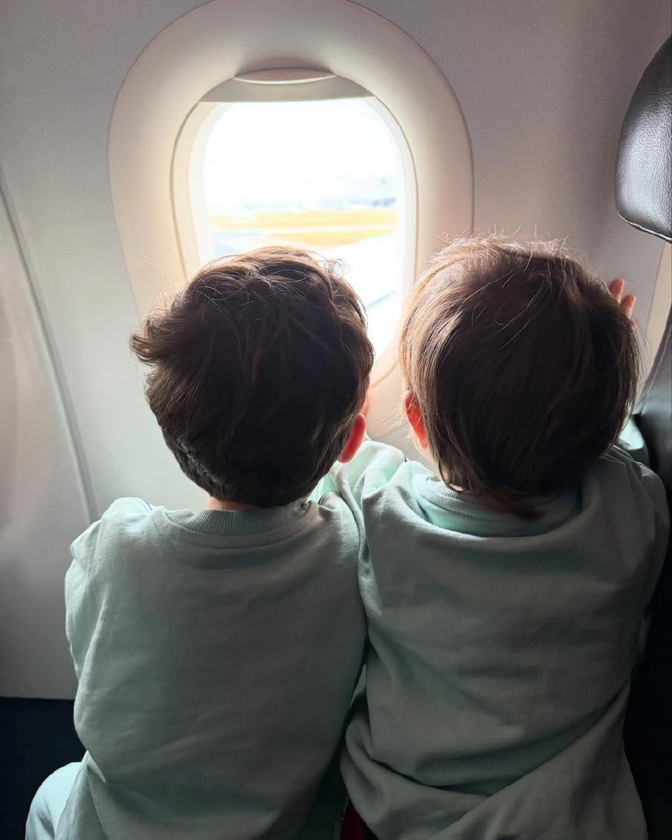 Брати у літаку