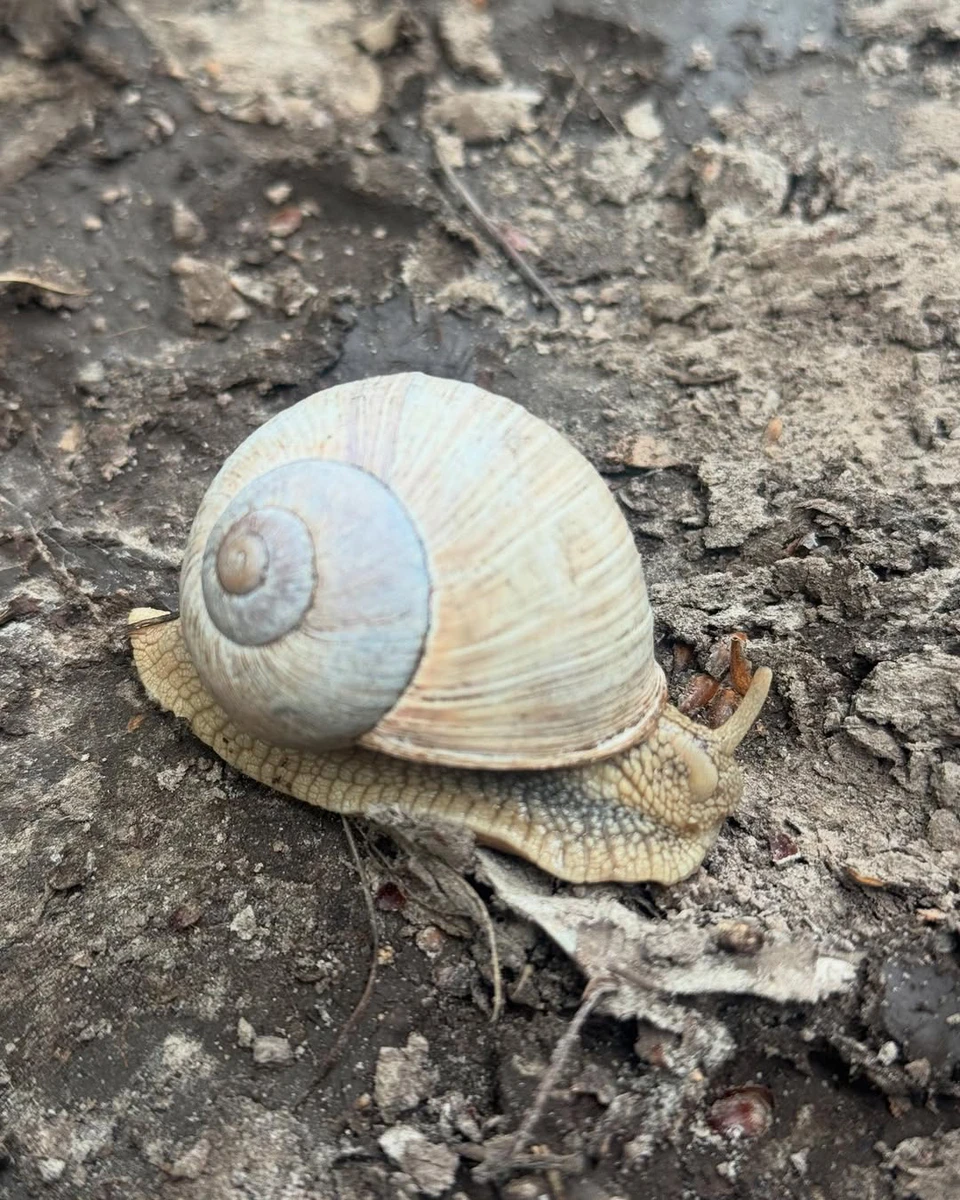 Фото від Ірини Горової