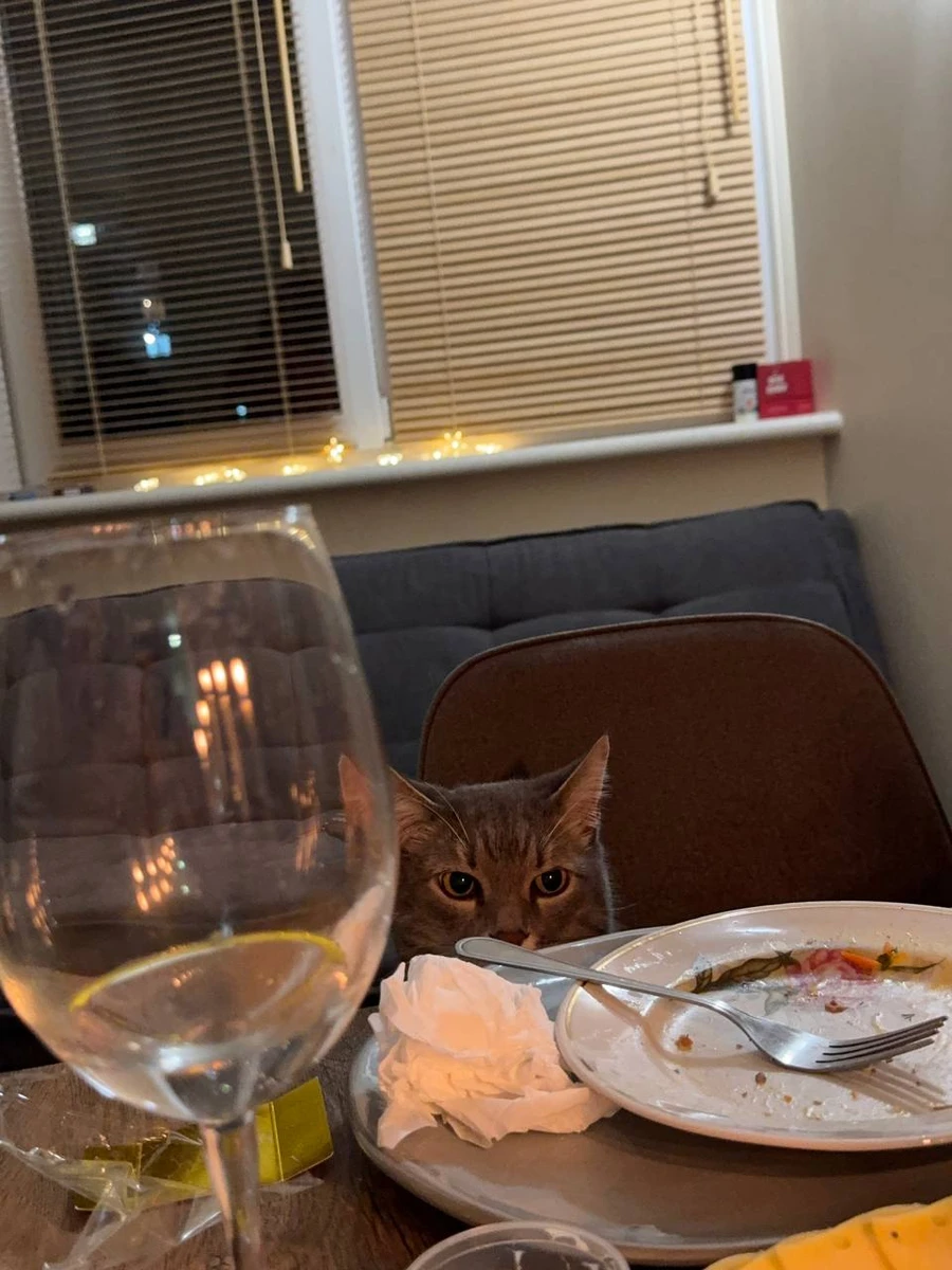 Меловін про свої заручини