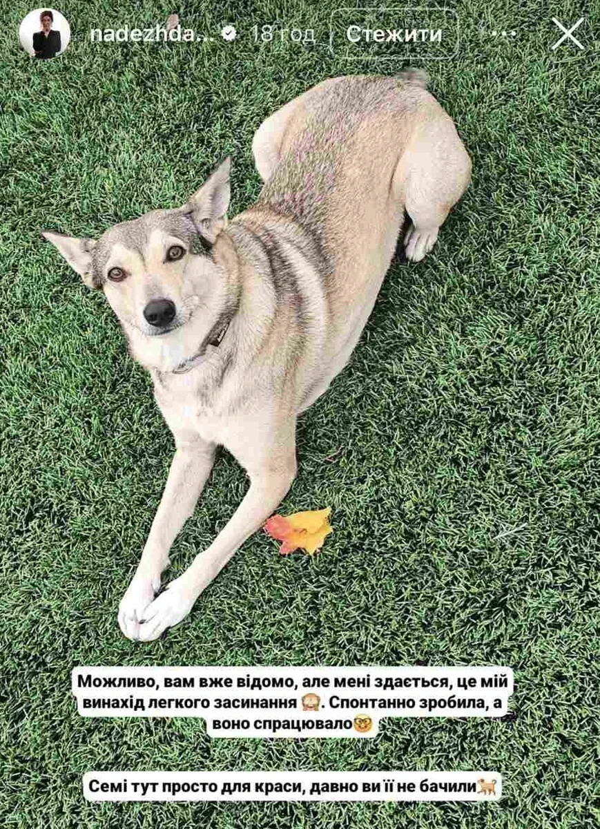 Собака Нідії Матвєєвої