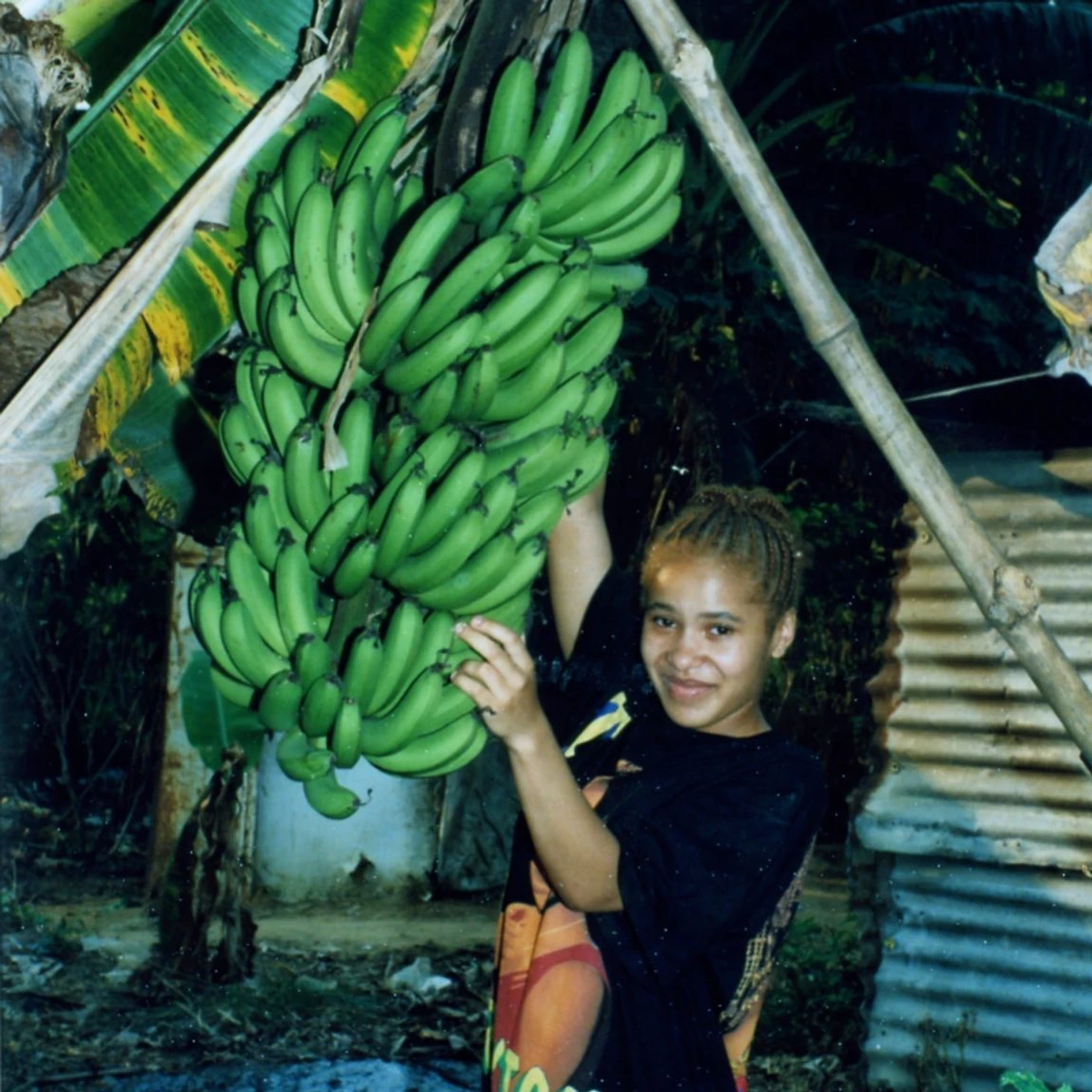 Маленька Гайтана та величезна гілка зелених бананів
