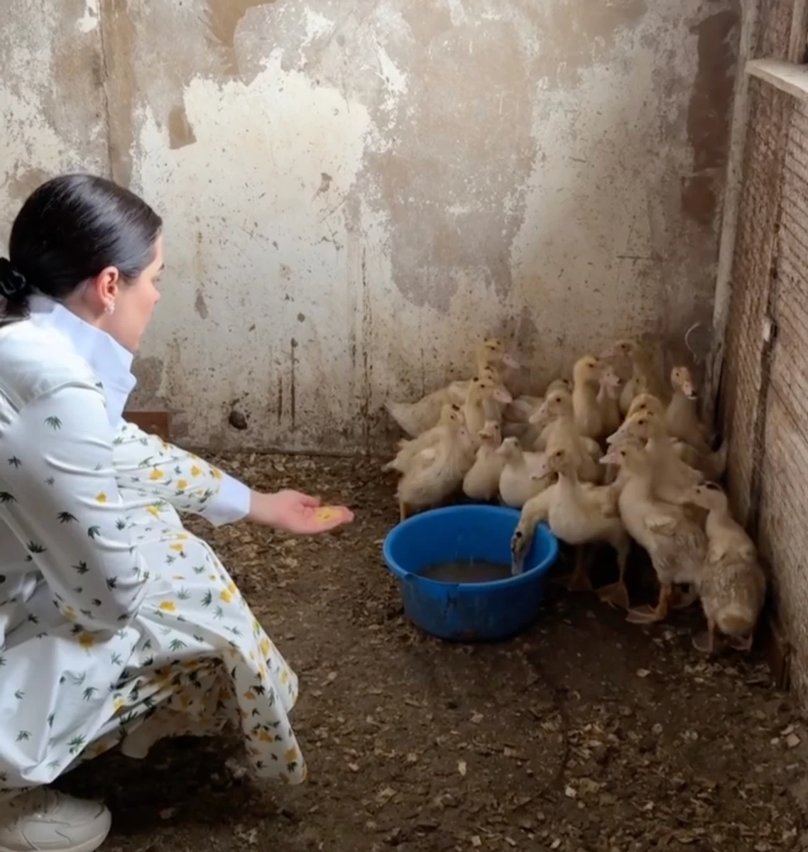 Іванна Онуфрійчук погодувала каченят на фото