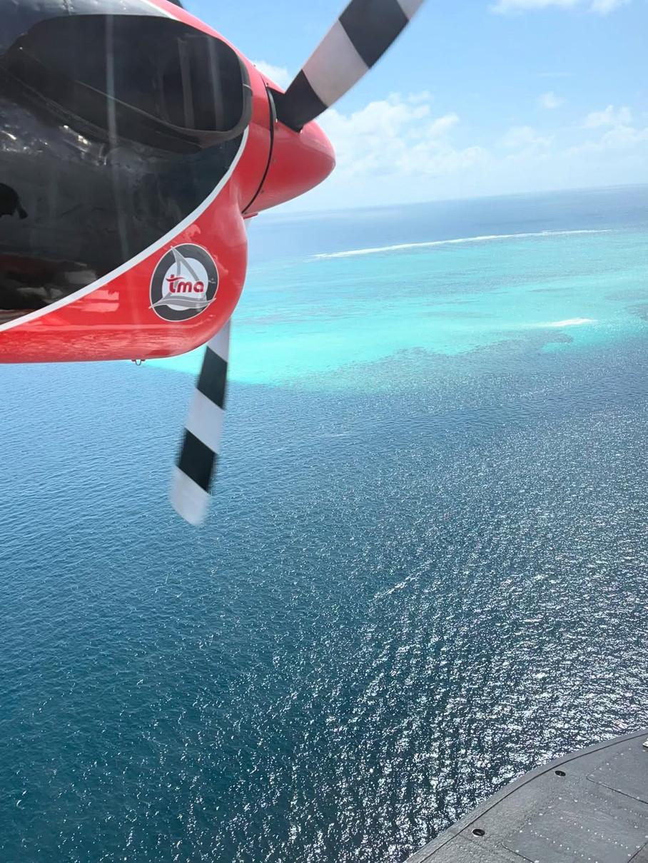 Колір води буквально створений бути тлом для ідеальних фото