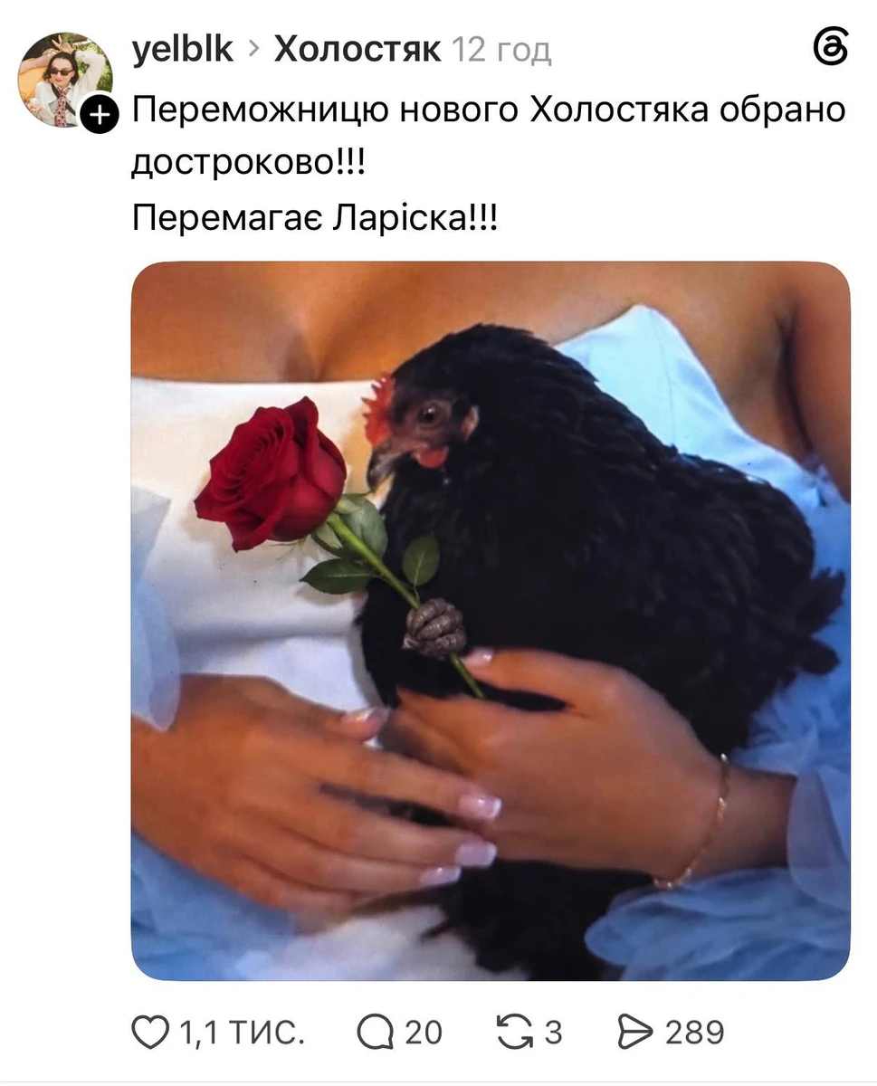 Меми з Холостяка-15 - з чого сміються українці