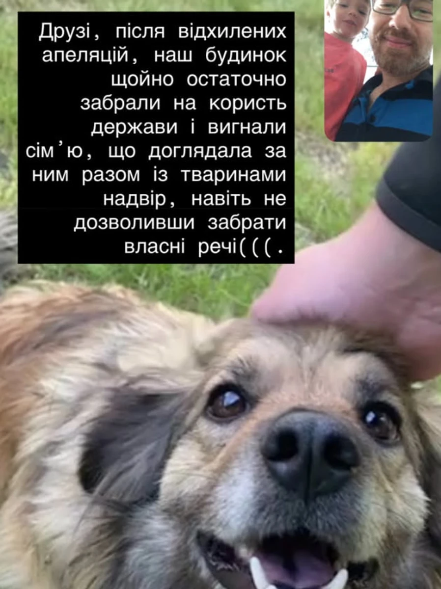 Син Повалій просить забрати під опіку їхнього пса