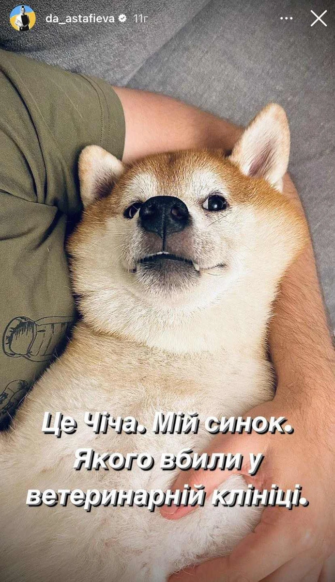 Руденького симпатяги Чічіко більше немає