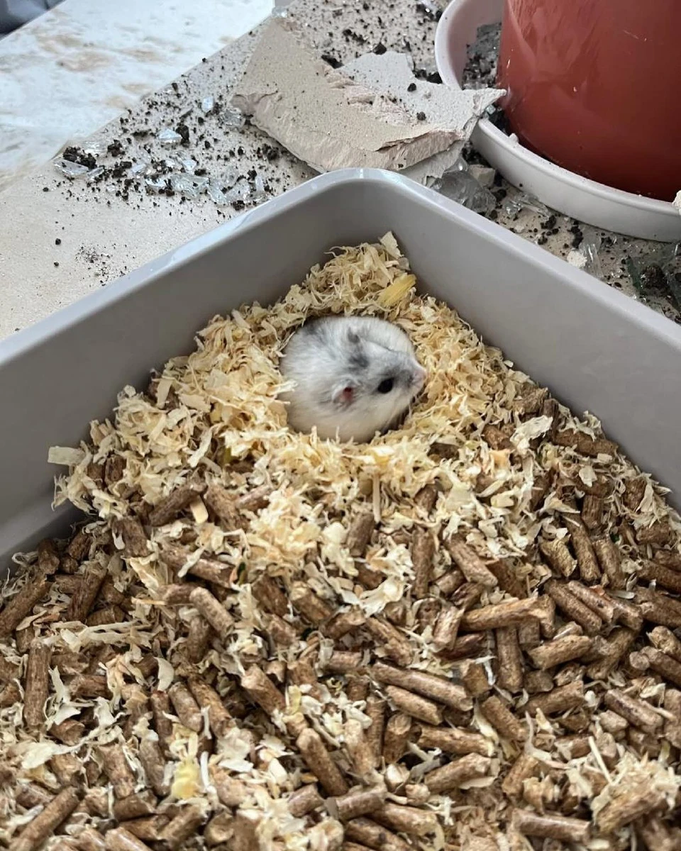 Герой, якому пощастило вижити