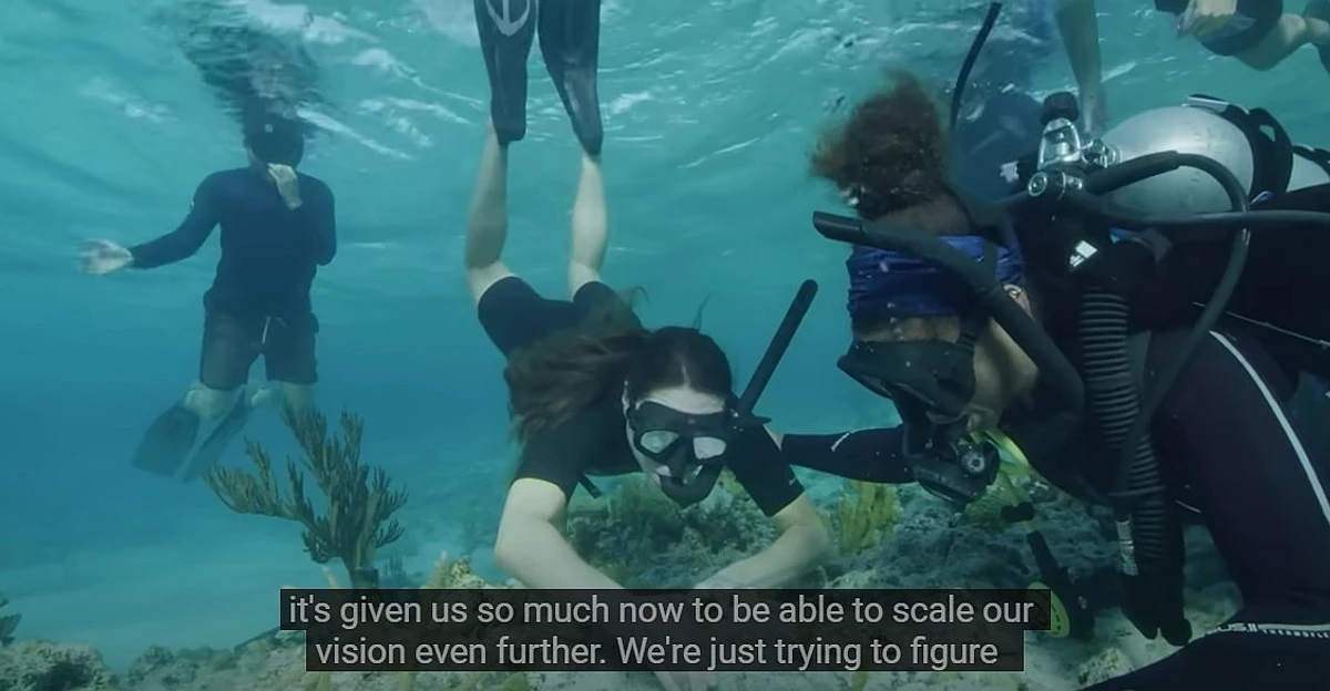 Принц та принцеса оглянули кораловий риф