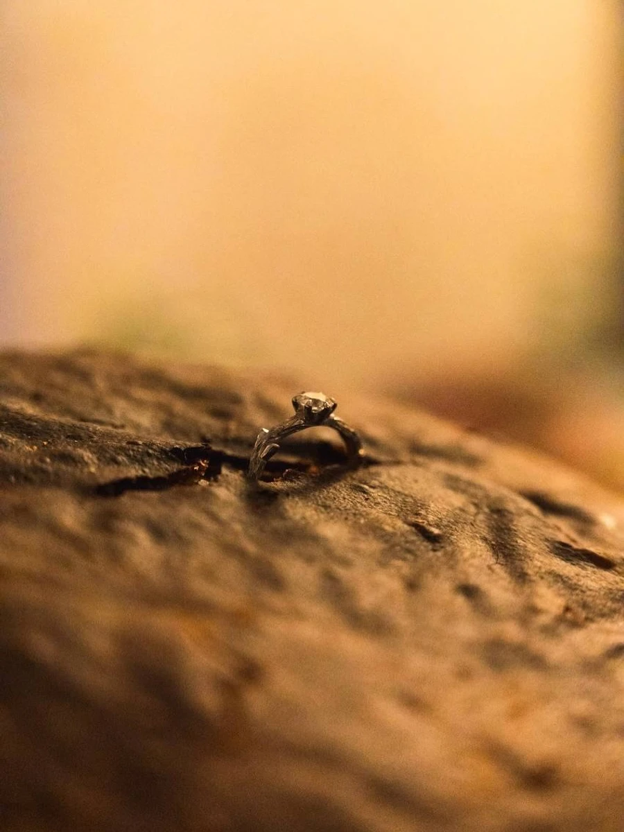 Клопотенко освідчився Катерині Воскресенській