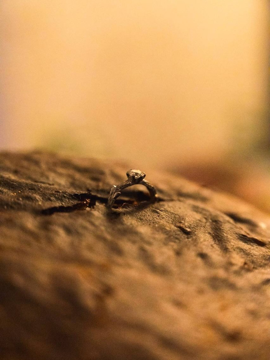 Клопотенко освідчився Катерині Воскресенській