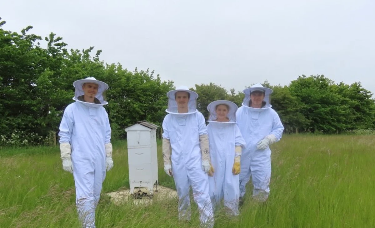 Діти Бекхемів бджолярі