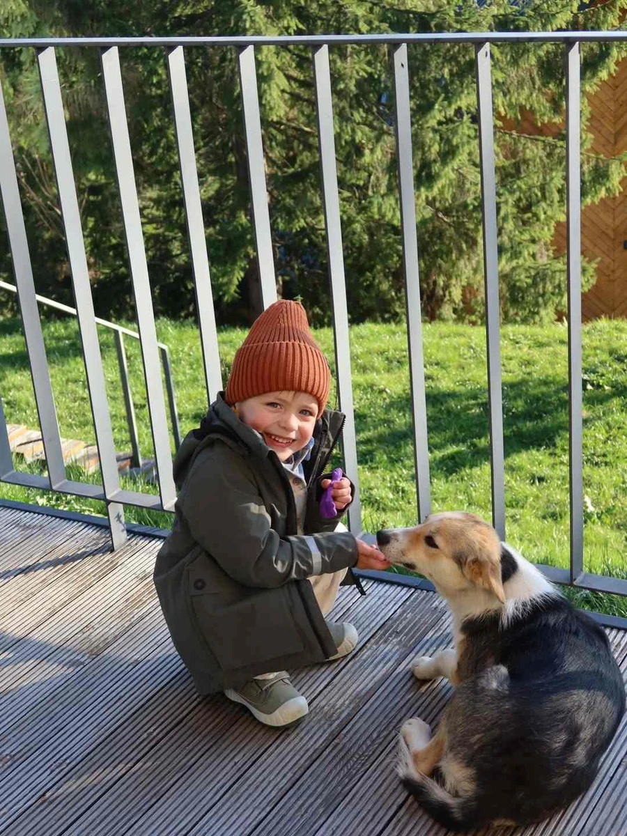 Вивчає місцеву фауну