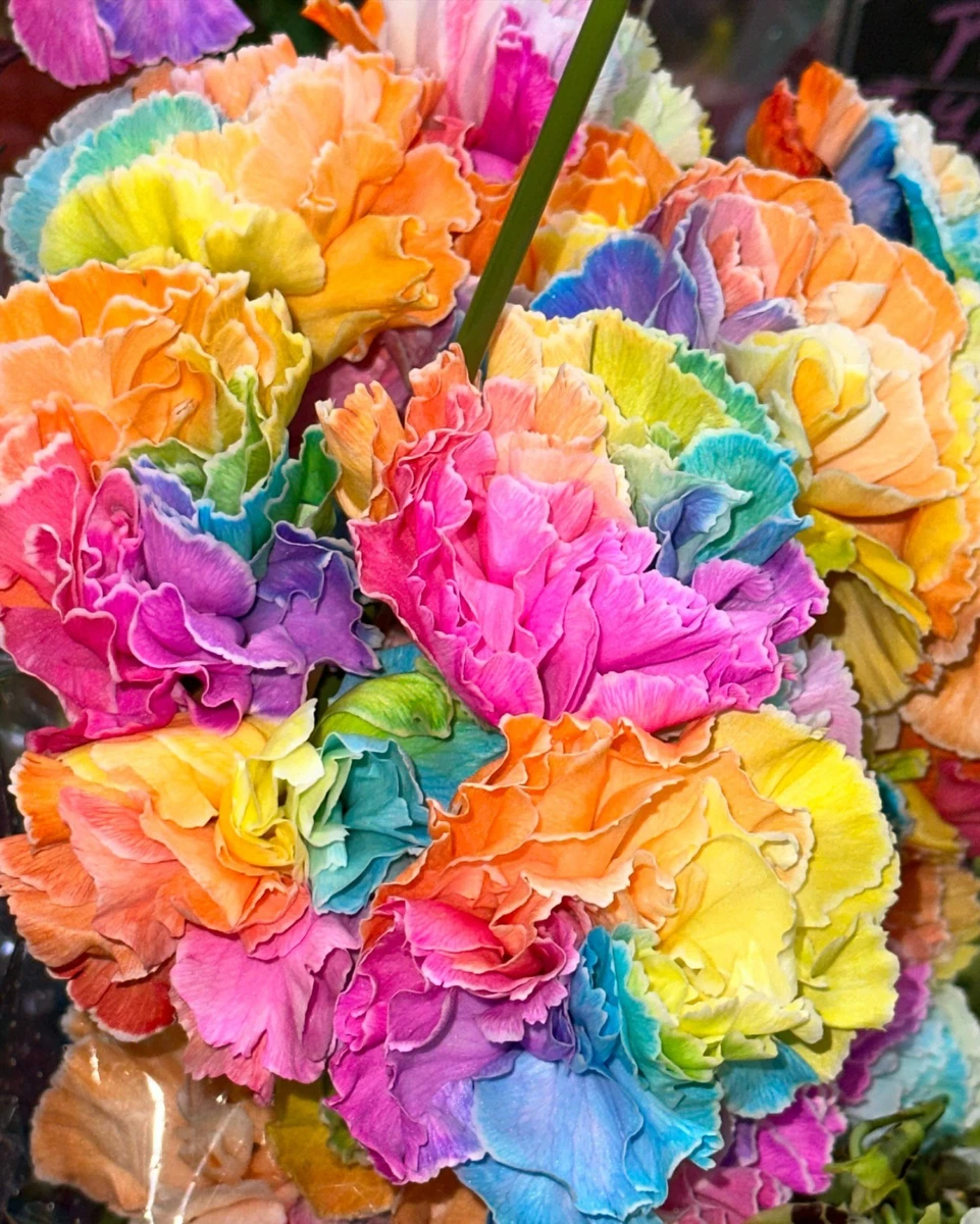 Щось на японському