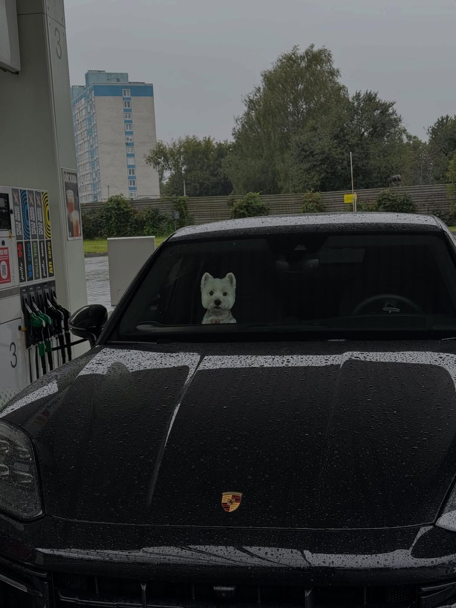 Леся Нікітюк замилувала фото свого песика в її машині