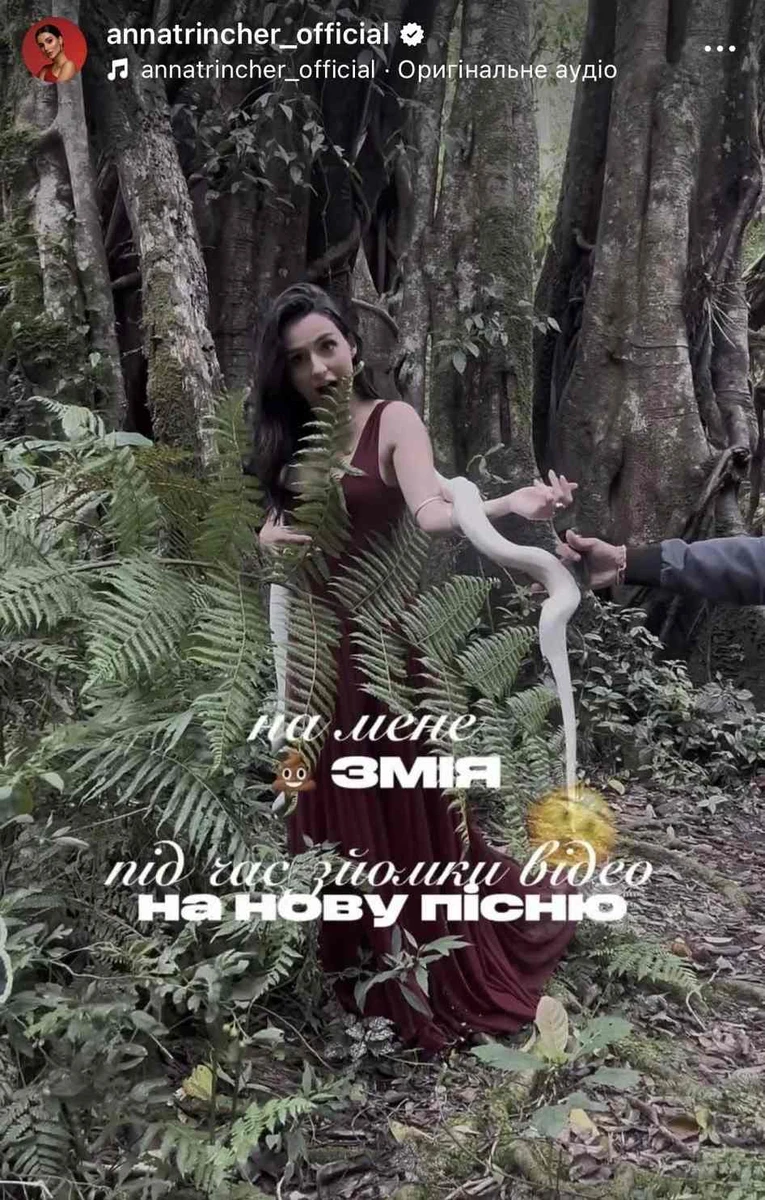 Кліп Трінчер